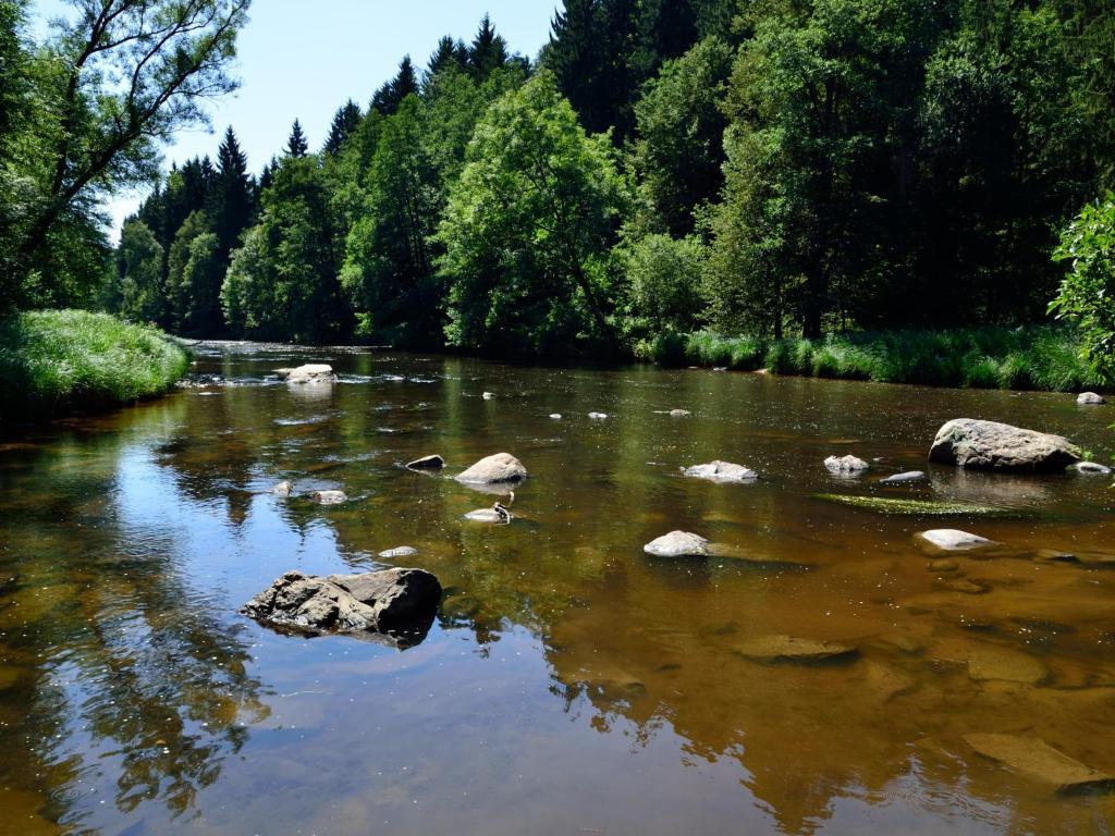 Ferienwohnungen Grill Schönberg 객실 사진